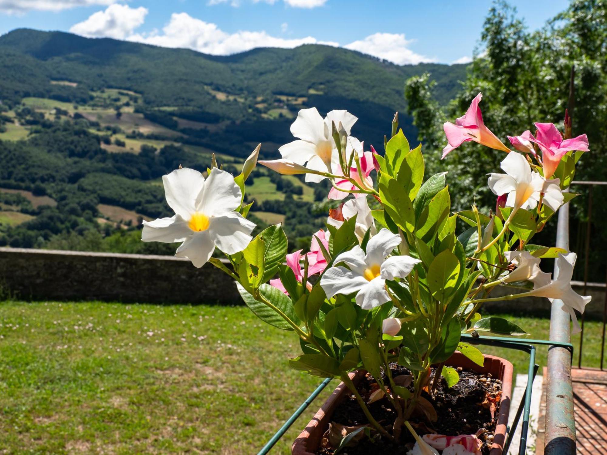 Agriturismo Villaggio Eden ピエーヴェ・サント・ステーファノ エクステリア 写真